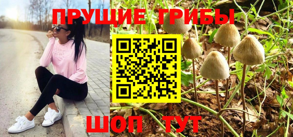 Галлюциногенные грибы Magic Shrooms  Псилоцибиновые грибы прущие грибы  Киров  Вход с VPN 